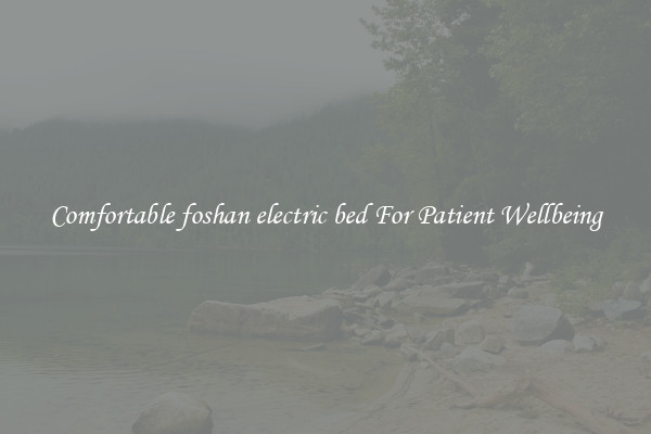 Comfortable foshan electric bed For Patient Wellbeing
