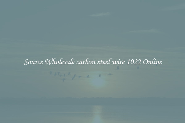 Source Wholesale carbon steel wire 1022 Online