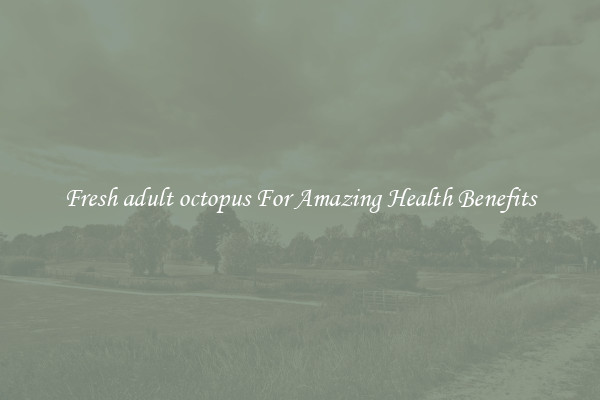 Fresh adult octopus For Amazing Health Benefits