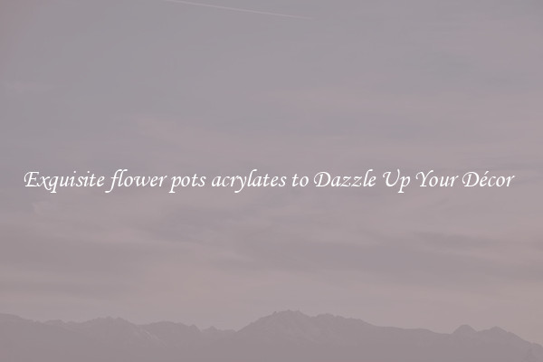 Exquisite flower pots acrylates to Dazzle Up Your Décor  