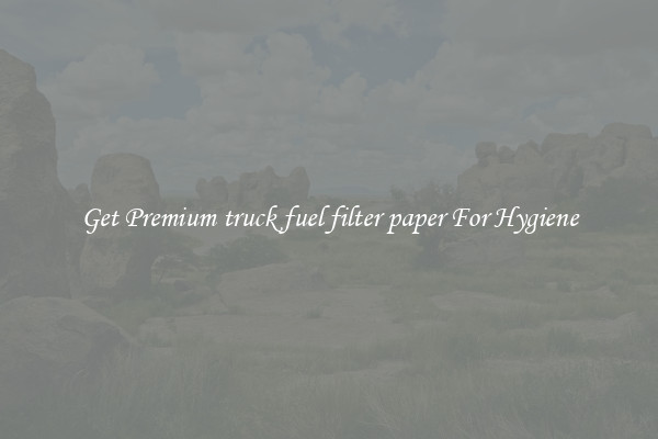 Get Premium truck fuel filter paper For Hygiene