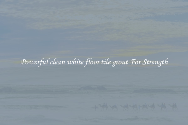 Powerful clean white floor tile grout For Strength