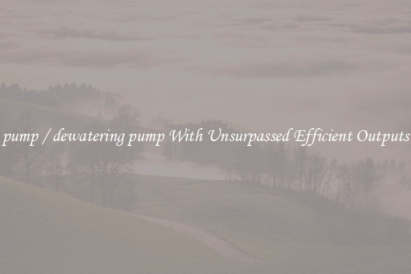 pump / dewatering pump With Unsurpassed Efficient Outputs