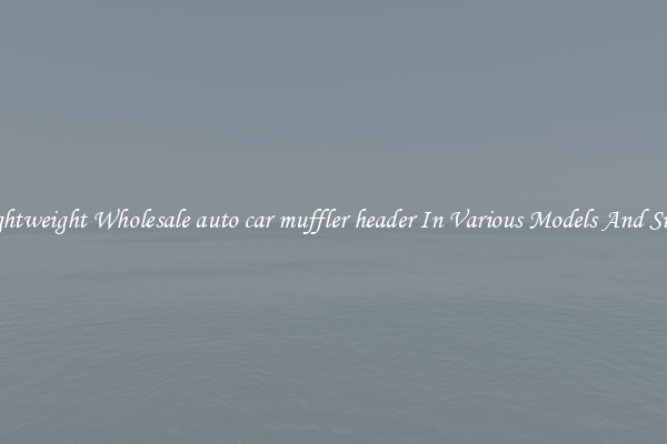 Lightweight Wholesale auto car muffler header In Various Models And Sizes
