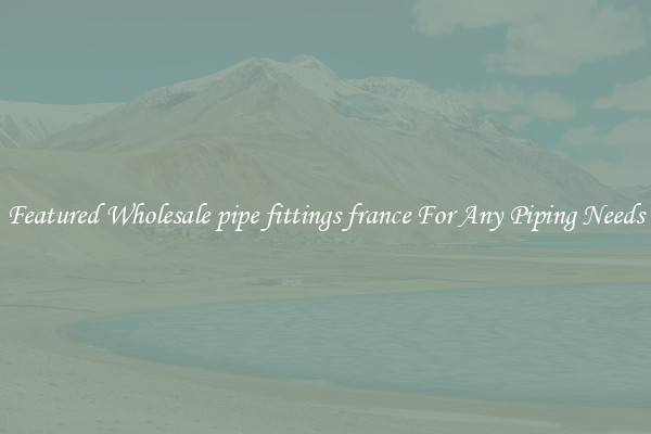 Featured Wholesale pipe fittings france For Any Piping Needs