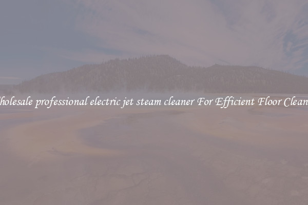 Wholesale professional electric jet steam cleaner For Efficient Floor Cleaning