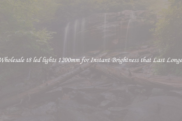 Wholesale t8 led lights 1200mm for Instant Brightness that Last Longer