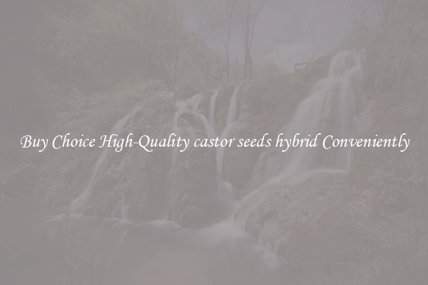 Buy Choice High-Quality castor seeds hybrid Conveniently