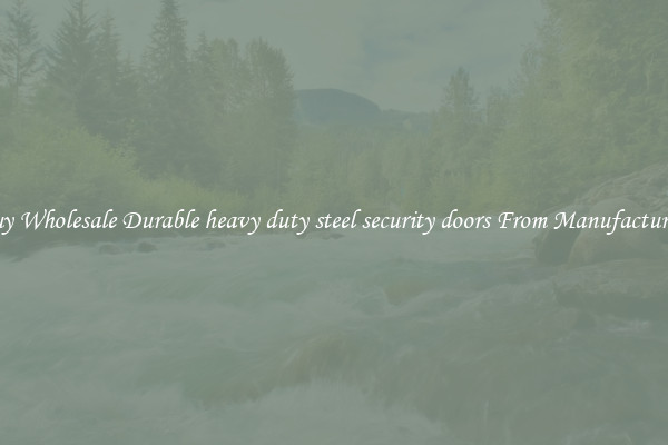 Buy Wholesale Durable heavy duty steel security doors From Manufacturers