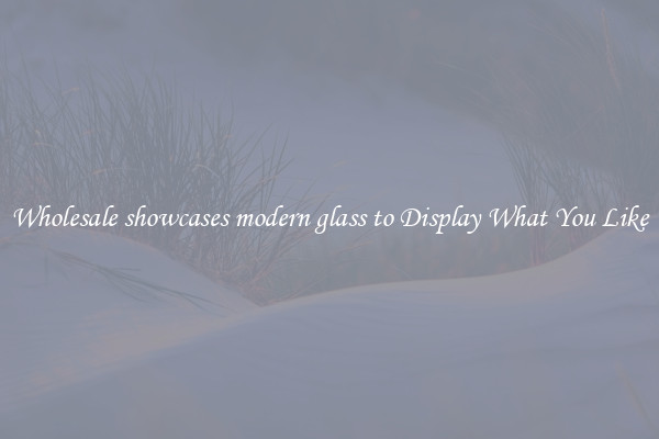 Wholesale showcases modern glass to Display What You Like