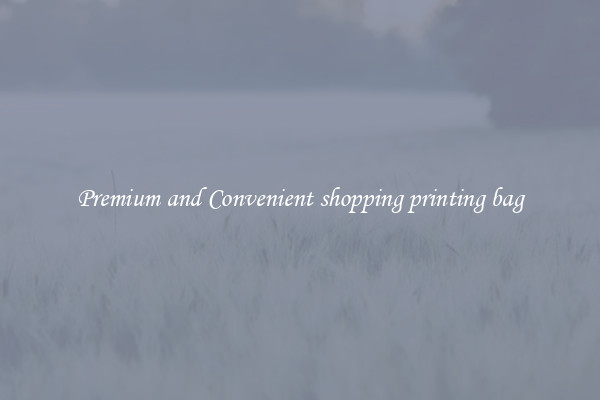 Premium and Convenient shopping printing bag