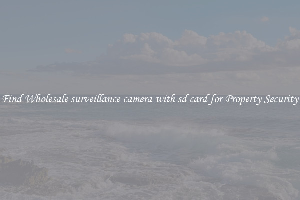 Find Wholesale surveillance camera with sd card for Property Security