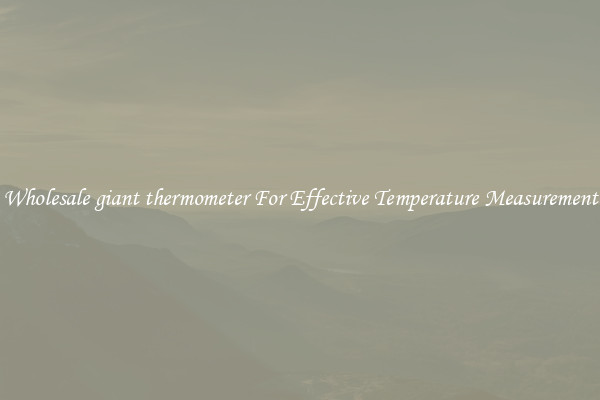 Wholesale giant thermometer For Effective Temperature Measurement
