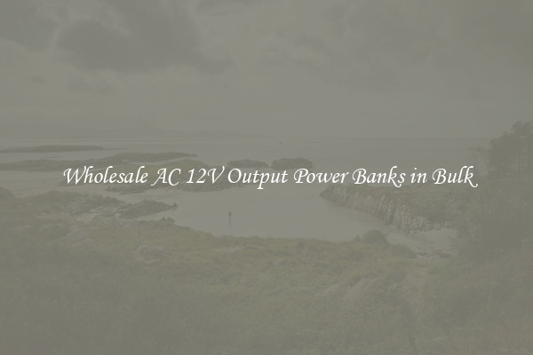 Wholesale AC 12V Output Power Banks in Bulk