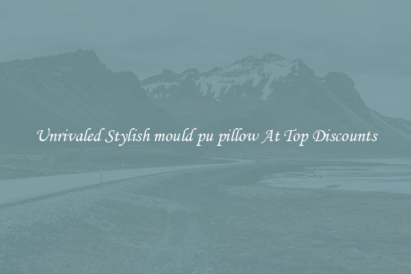 Unrivaled Stylish mould pu pillow At Top Discounts
