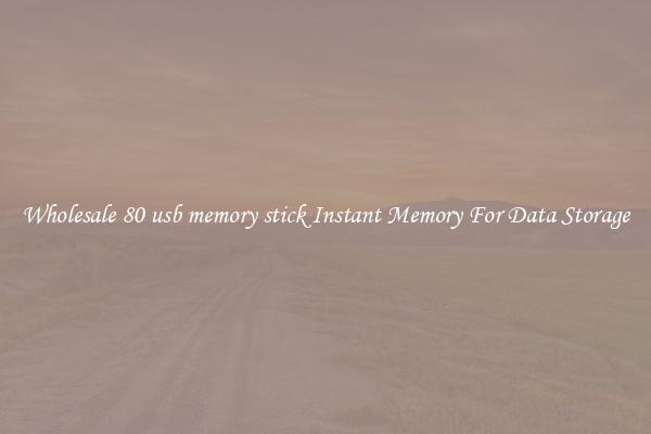 Wholesale 80 usb memory stick Instant Memory For Data Storage