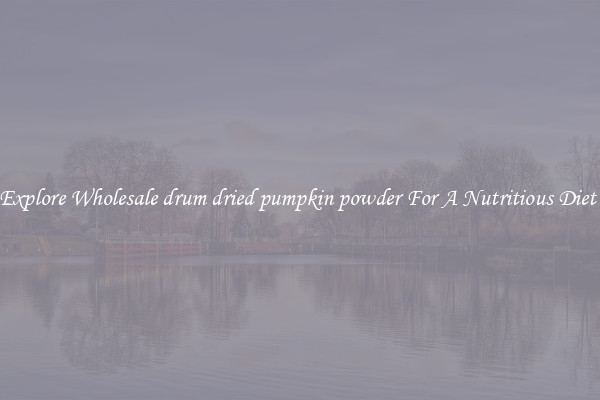 Explore Wholesale drum dried pumpkin powder For A Nutritious Diet 