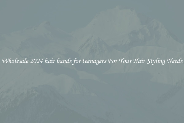 Wholesale 2024 hair bands for teenagers For Your Hair Styling Needs