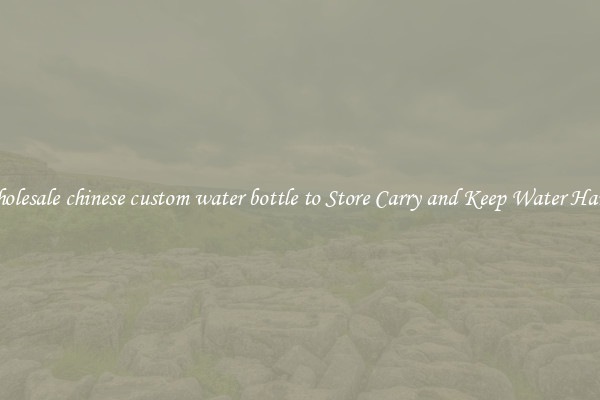 Wholesale chinese custom water bottle to Store Carry and Keep Water Handy