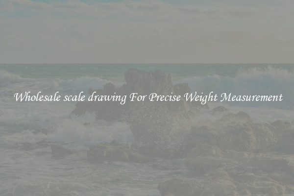 Wholesale scale drawing For Precise Weight Measurement