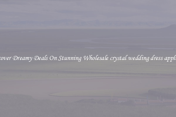 Discover Dreamy Deals On Stunning Wholesale crystal wedding dress appliques